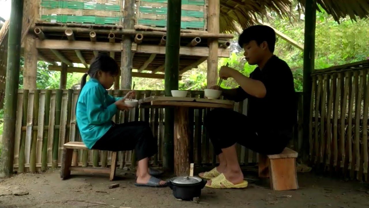 The poor boy and girl went to pick ginger, oranges, and melons to sell and buy things - Ly Ton Quang