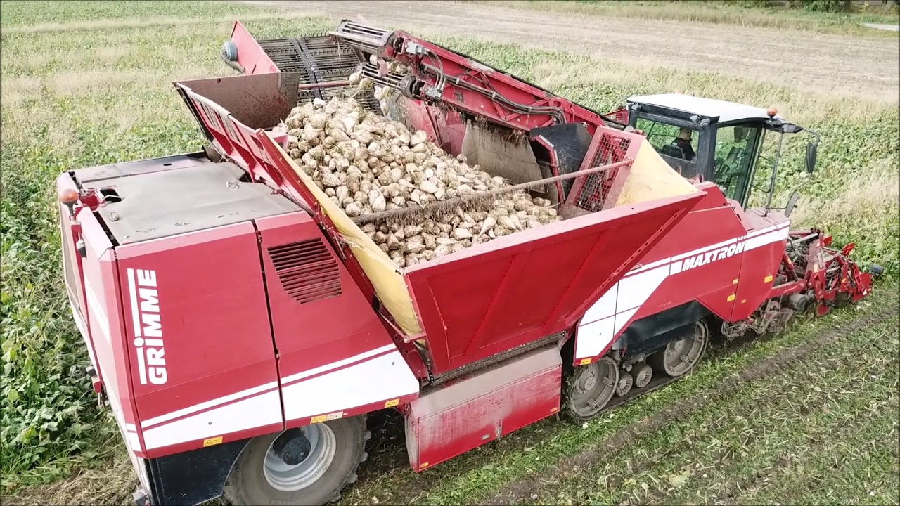 Rübenernte/Grimme Maxtron 620