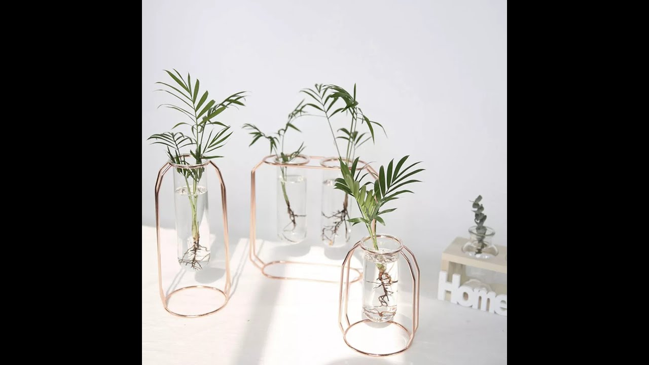 Golden Glass Vase Iron Hydroponic Plant Flower Vase Tabletop Coffee Shop Office Home Decor
