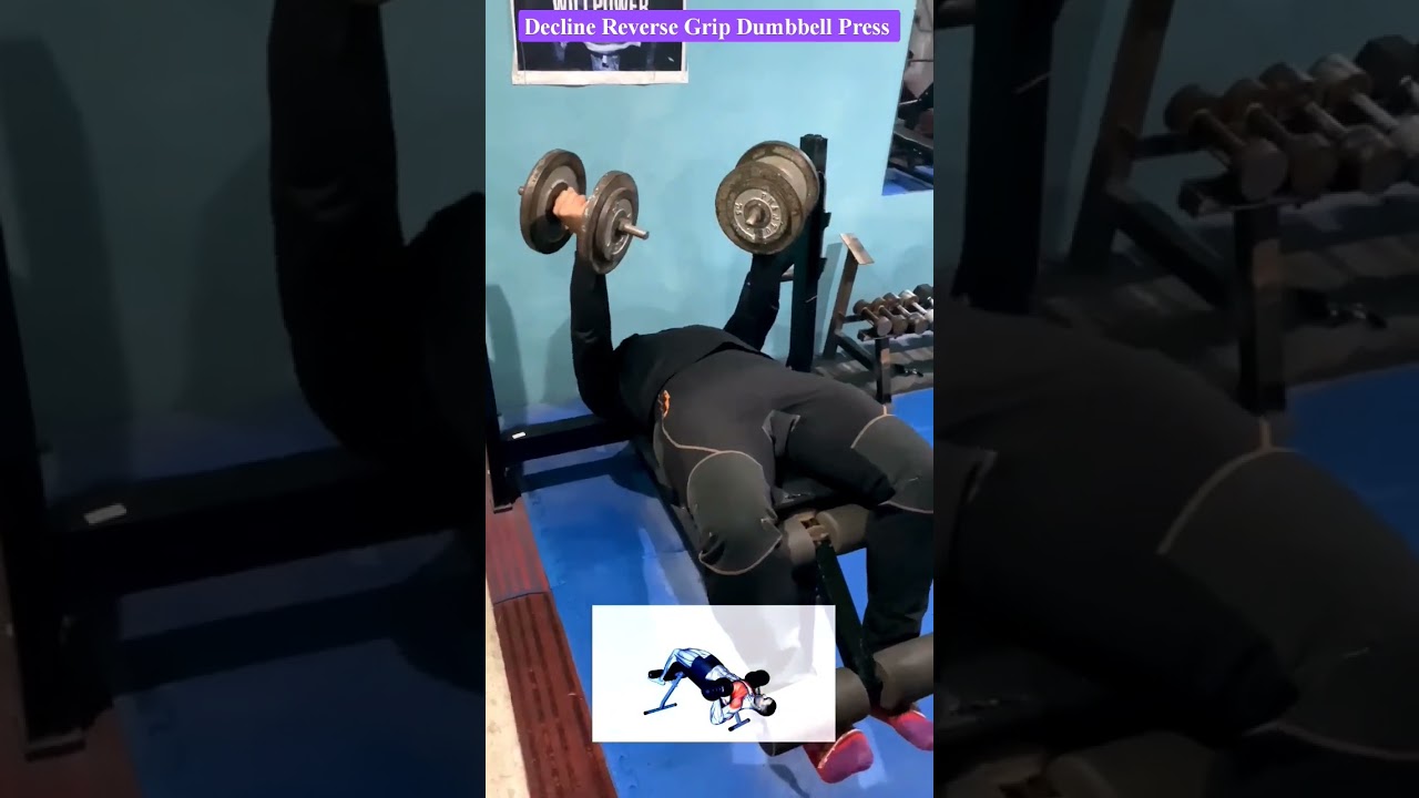 Decline Reverse Grip Dumbbell Press 