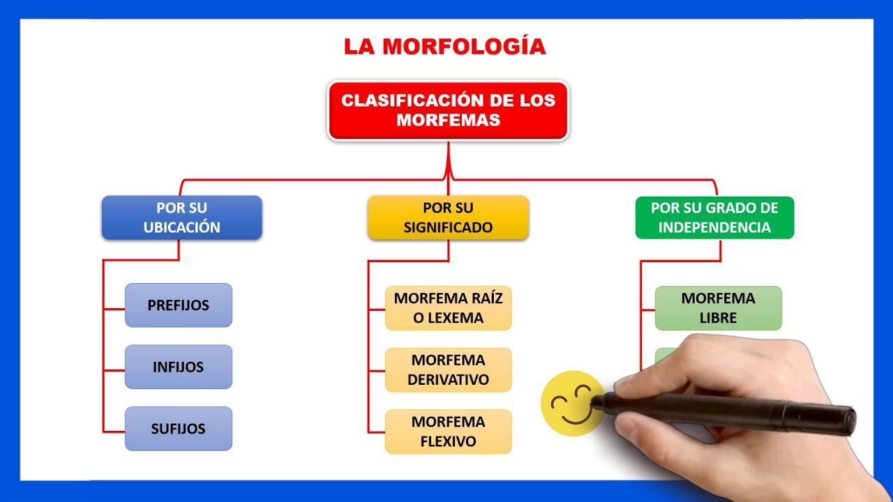 ​📘​Qué es la MORFOLOGÍA  | Qué es un morfema y sus clases| Qué es un prefijo, infijo y sufijo?