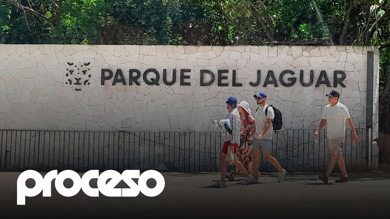 Le bastaron nueve meses a la Sedena para adueñarse del turismo de Tulum