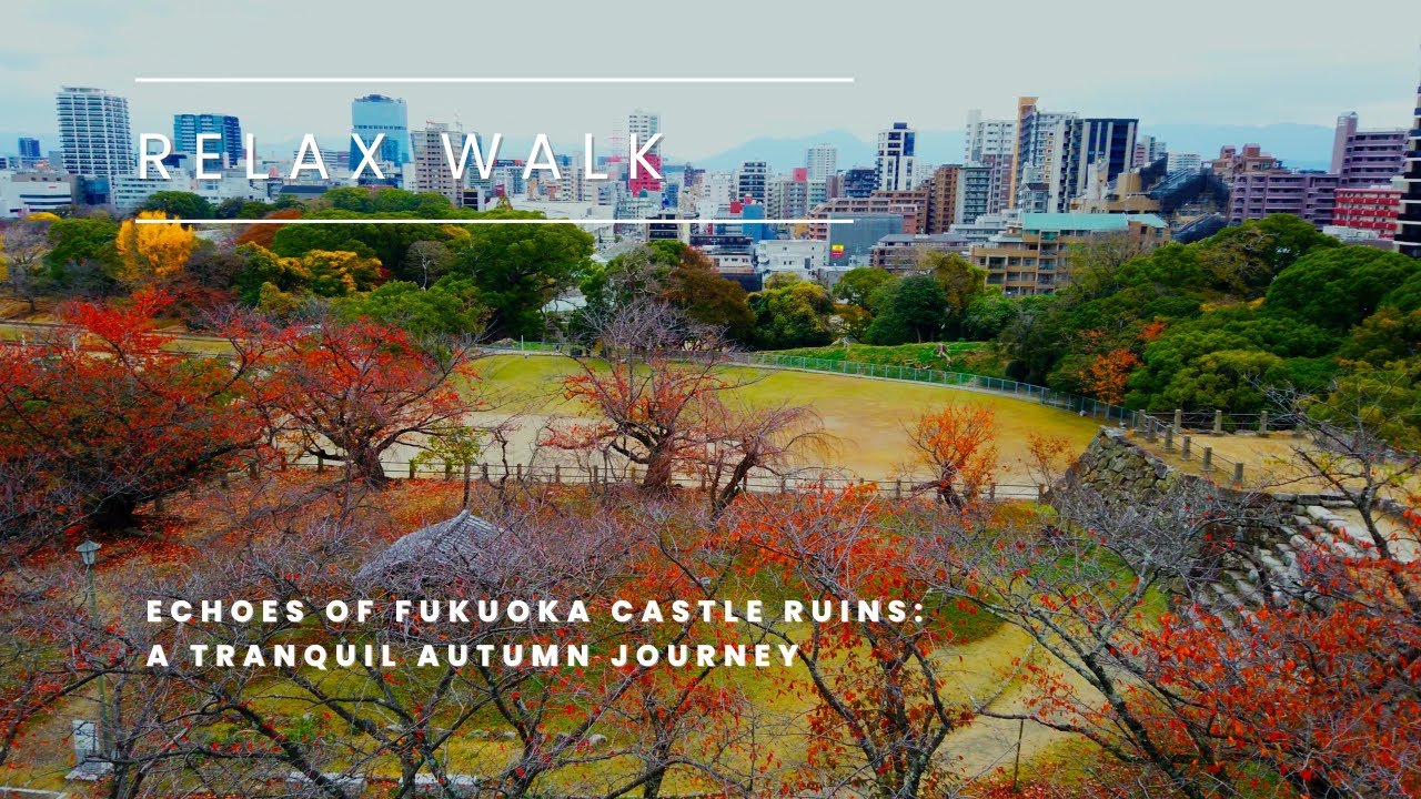 Echoes of Fukuoka Castle Ruins: A Tranquil Autumn Journey