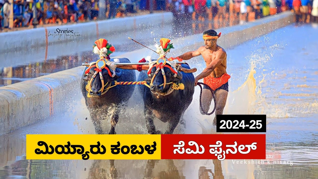 Miyar Kambala Semi Final race 2025 | ಮಿಯ್ಯಾರು ಲವ ಕುಶ ಕಂಬಳ  ಸೆಮಿ ಫೈನಲ್ ರೇಸ್