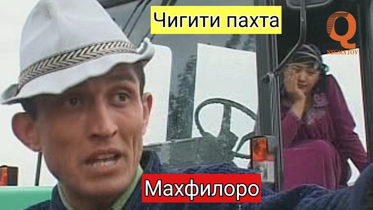 Махфилоро - Чигити пахта