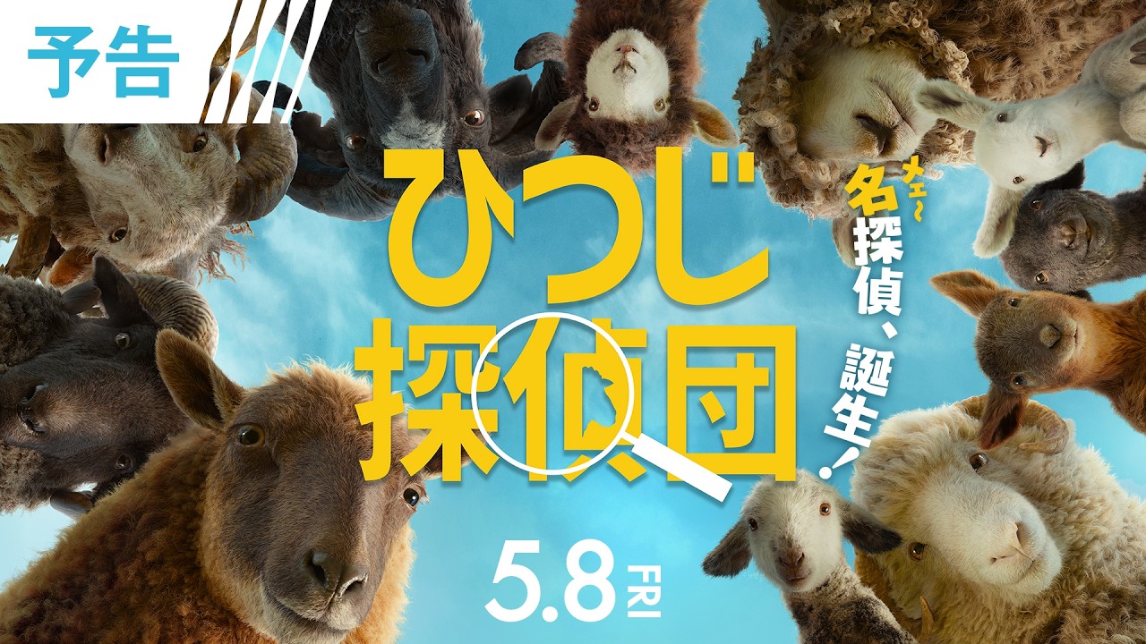 ＜🔍名(メェ～)探偵、誕生❕＞映画『ひつじ探偵団』 予告／5月8日（金）全国の映画館で公開🐏
