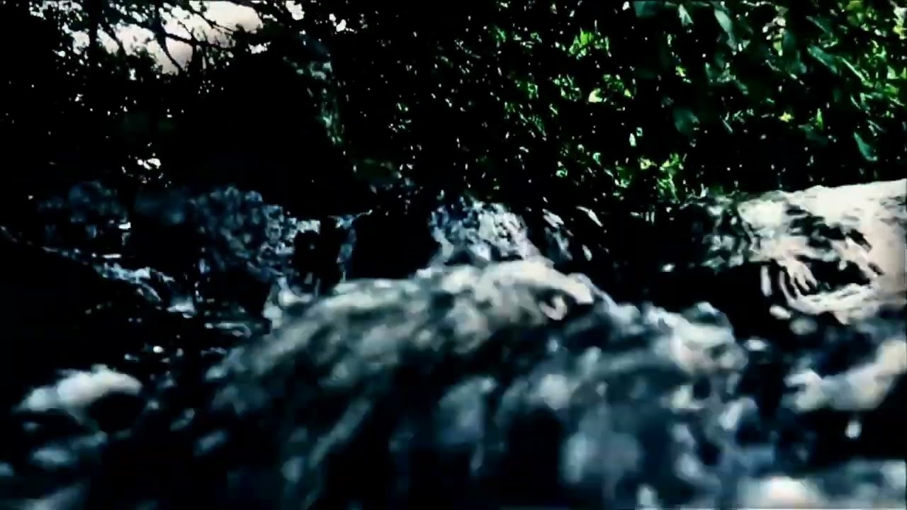 Villa Intellia - Interbasin Transfer (Electro Organic)
