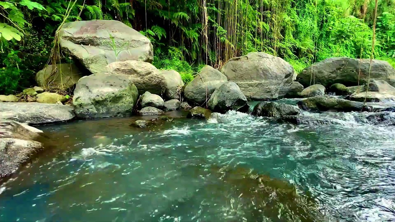 Natural River Sound Therapy for Peaceful Sleep and Emotional Balance
