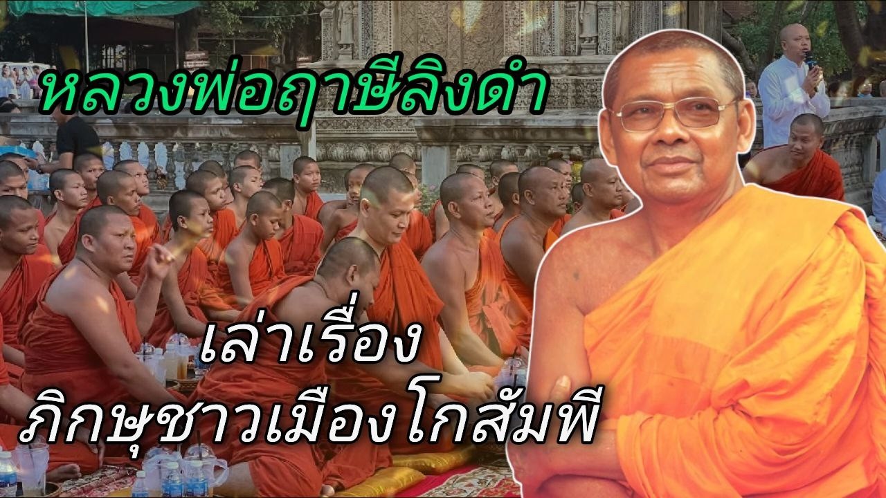 หลวงพ่อฤาษีลิงดำเล่าเรื่อง ภิกษุชาวเมืองโกสัมพี 1/4 #ช่องเสียงธรรมะ