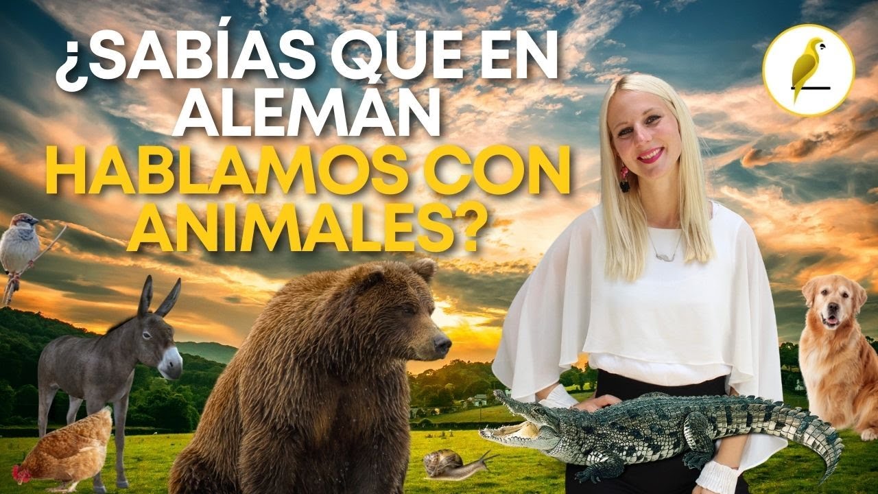 Dichos en alemán con animales - PARTE 2!