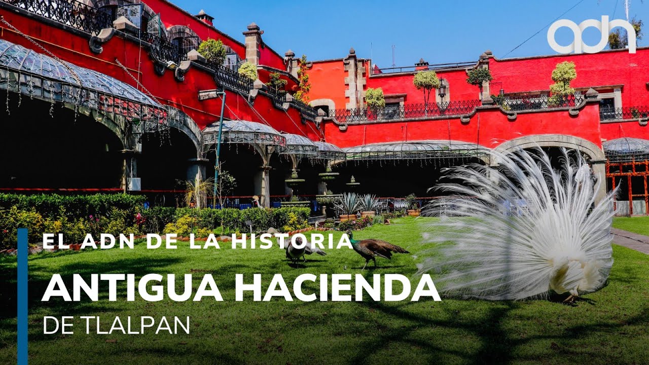 Antigua Hacienda de Tlalpan y sus alrededores l El ADN de la Historia