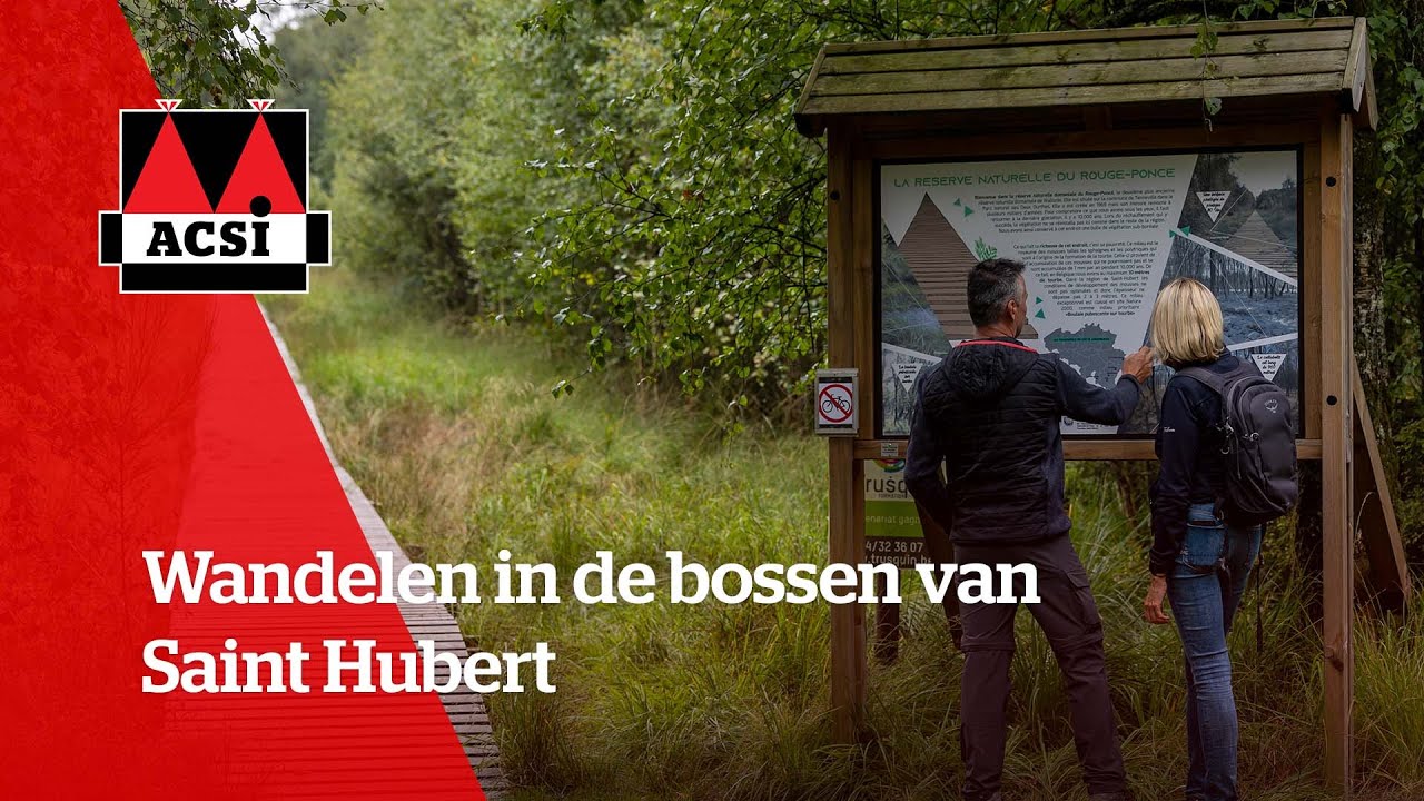Wandelen in de bossen van Saint Hubert | ACSI FreeLife TestTour 2022 - Wallonië