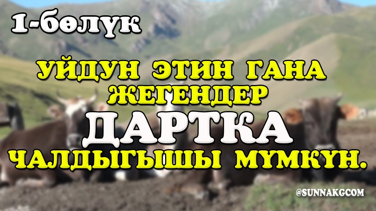 #1 Уйдун этин гана жегендер дартка чалдыгышы мүмкүн. 1-бөлүк.