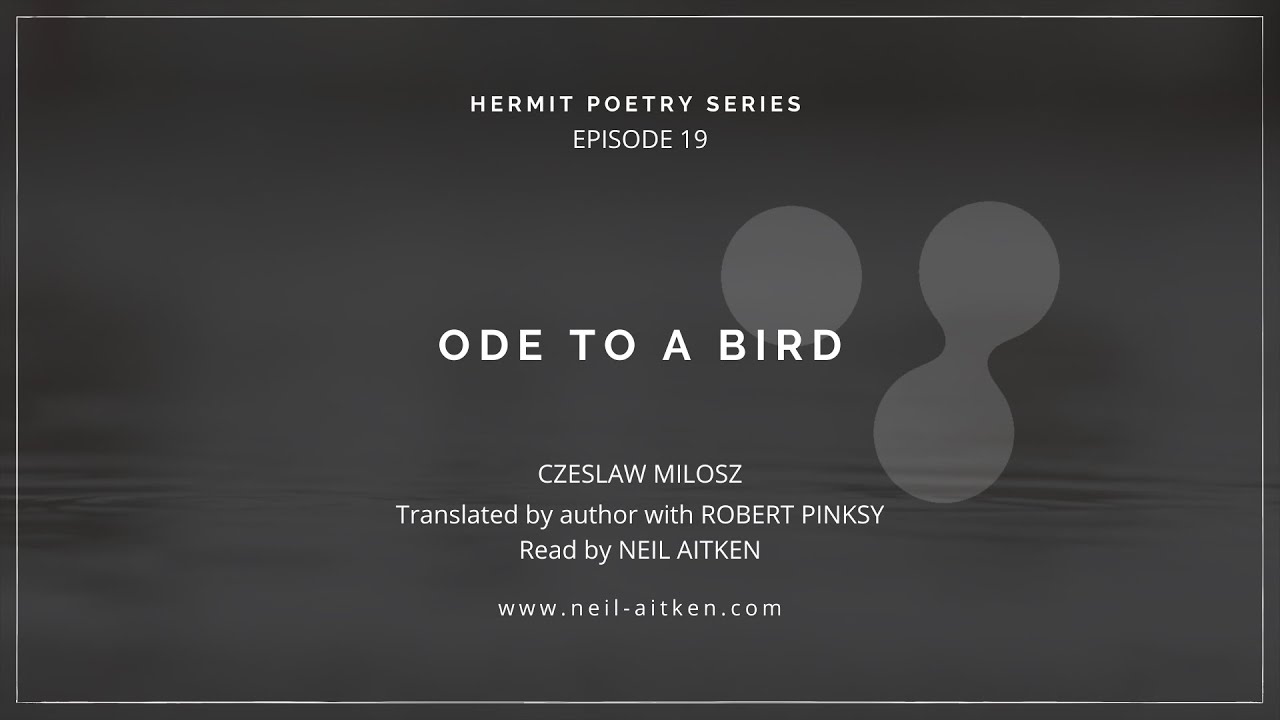 Hermit Poetry E019 - 