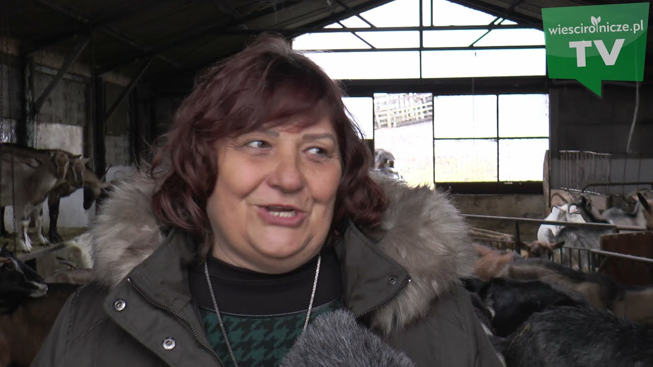 Wyjechali z miasta i zostali rolnikami. Jak sobie radzą?