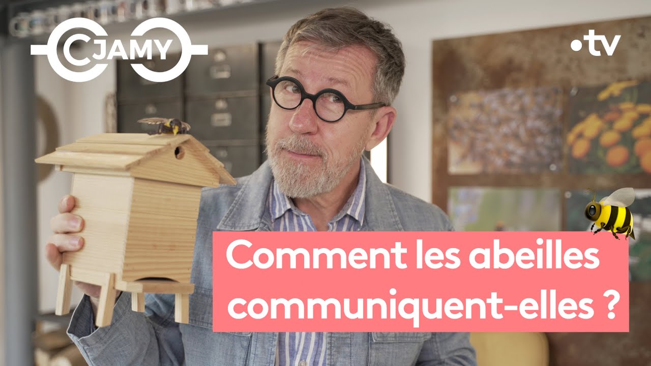 Comment les abeilles communiquent-elles ? 🐝