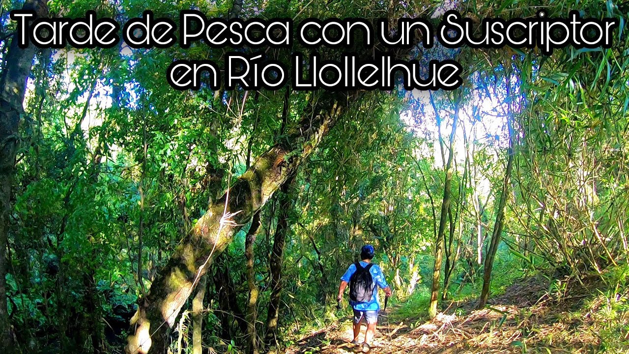Tarde de Pesca con un Suscriptor en Río Llollelhue / Región de los Ríos / Baitcasting / Sur de Chile