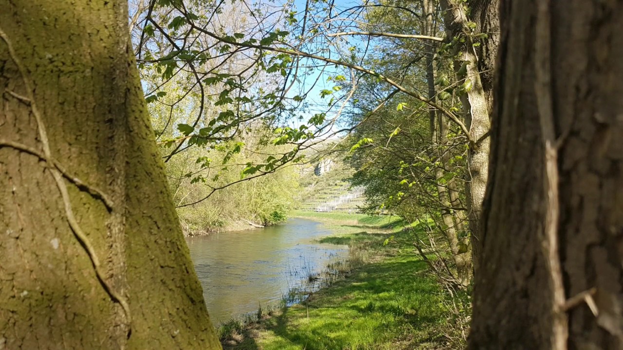 Frühling im Lembergerland. Die Enzschleife Rosswag- Mühlhausen.