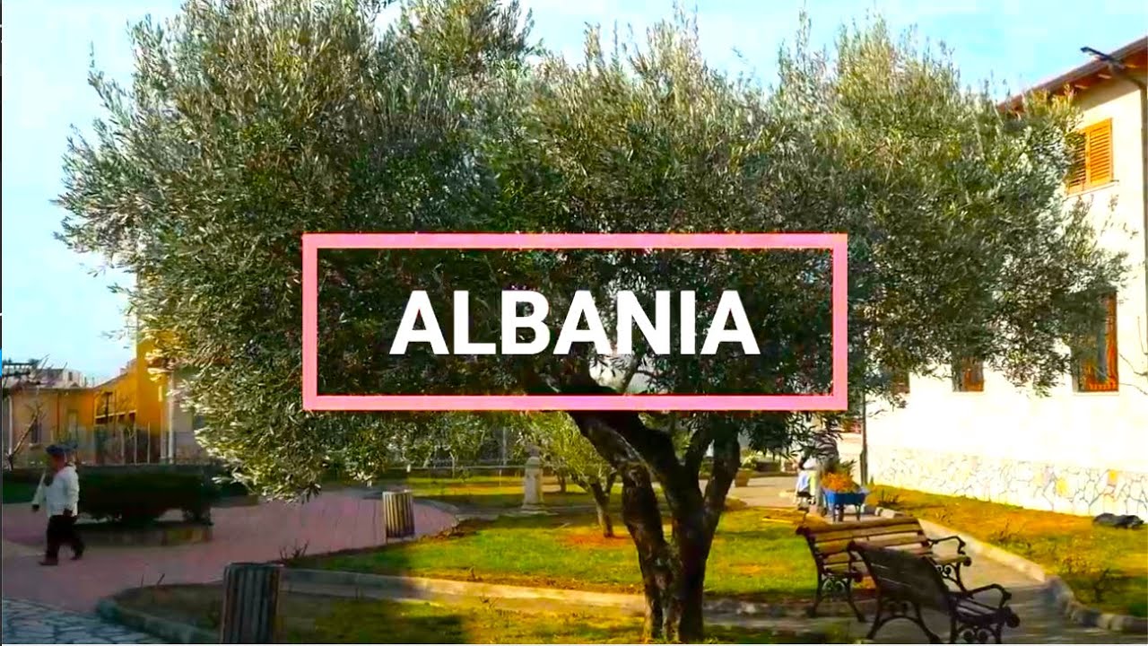 Albania -  Missione linfa vitale