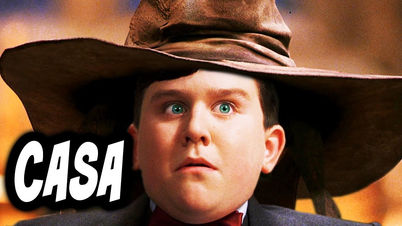 ¿En Qué Casa Estaría DUDLEY DURSLEY? - Teoría de Harry Potter