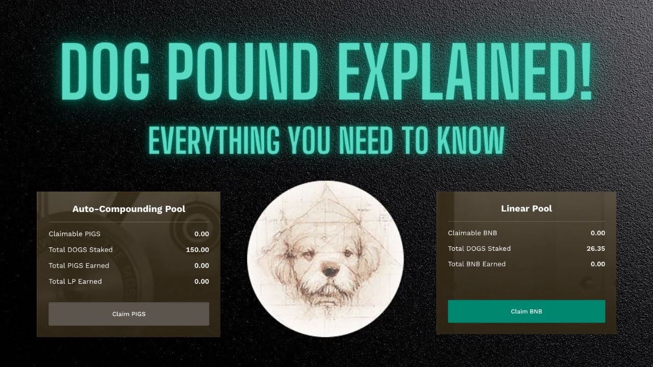 Animal Farm: Dog Pound EXPLAINED!