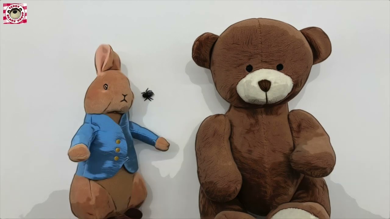 Little Peter Rabbit Had a Fly Upon His Nose- Teddy's Tune Time English Nursery Rhymes Cartoon 4 Kids