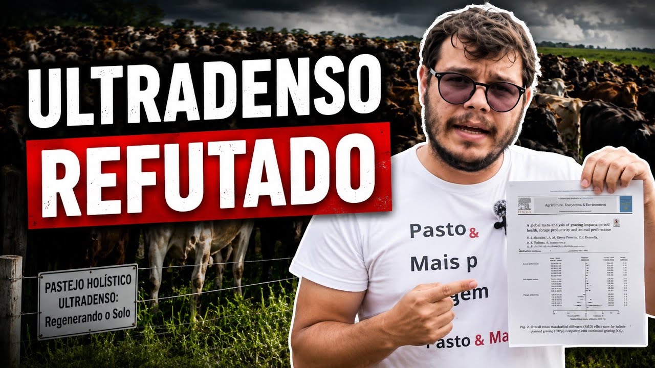 O Ápice do Pastejo Rotacionado? A verdade sobre Ultradenso 