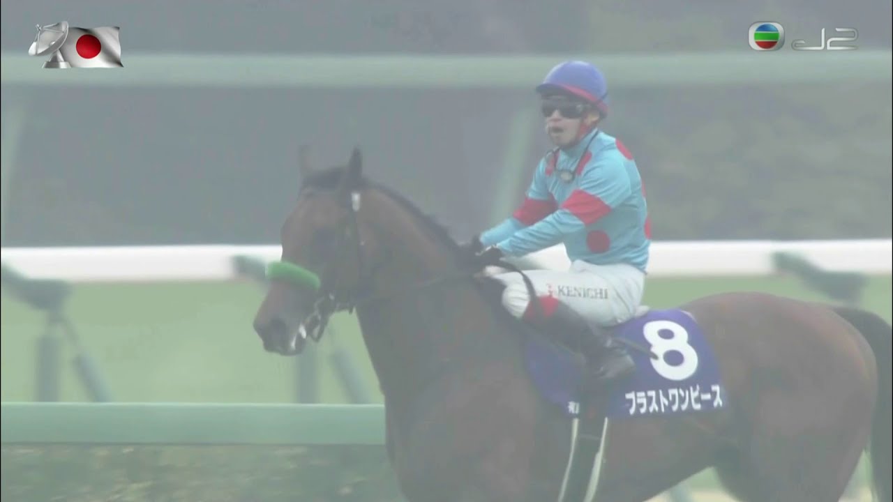 2018 Arima Kinen G1 - Blast Onepiece (防爆裝束) - K.Ikezoe