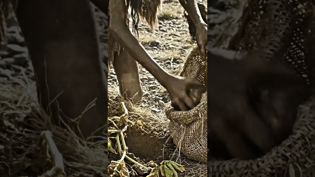 #StoneAge #Survival #PrehistoricLife #PrimitiveLiving #AncientHumans #FireMaking
