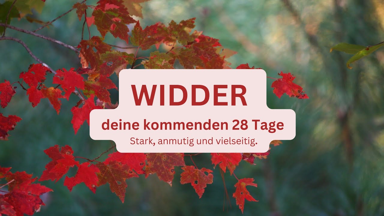 WIDDER ♈️ deine kommenden 28 Tage• Stark, anmutig und vielseitig.