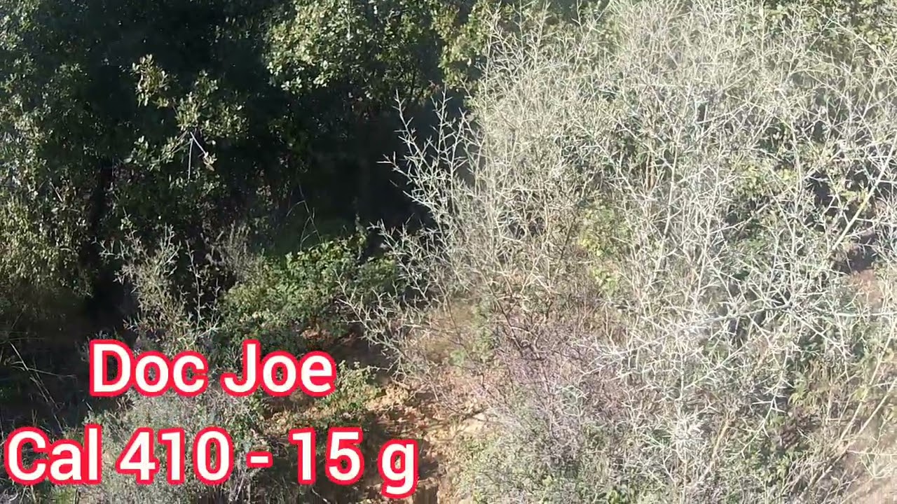 Woodcock shot behind trees - Cal 410 - (159)