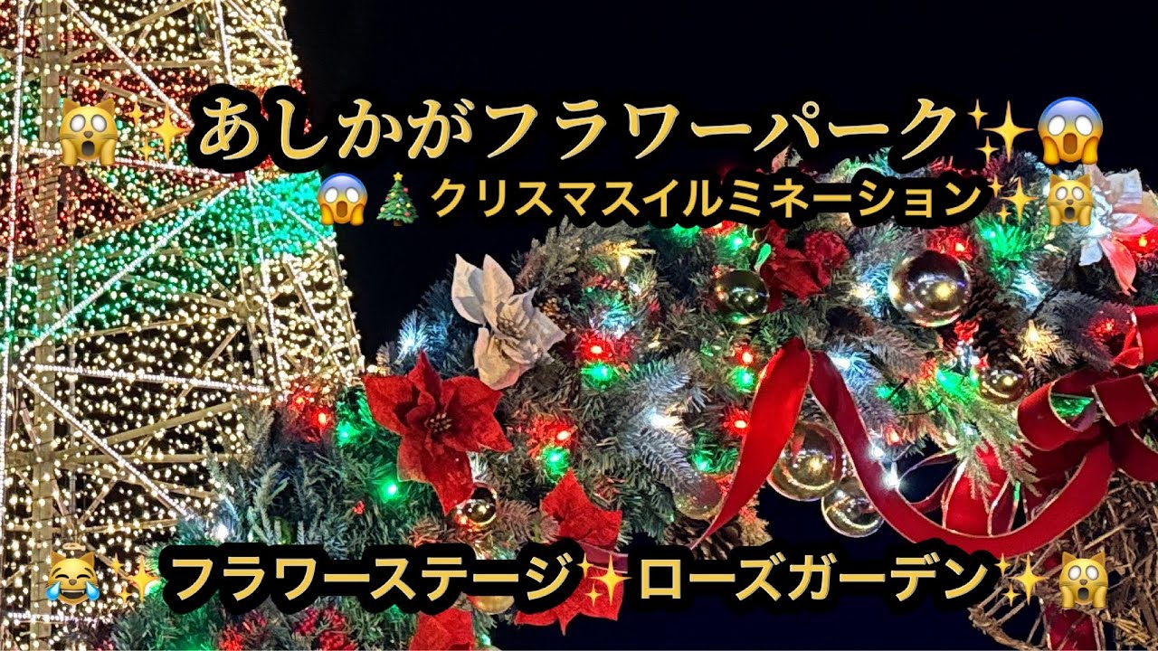 【プレミア】【４ｋ】🙀🎄✨クリスマス・イルミネーション✨光の花の庭✨フラワーステージ✨ローズガーデン✨Part1✨😱あしかがフラワーパーク(21m42s）🤣BGM: