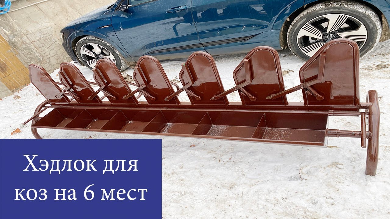 Хэдлок для коз и овец на 6 мест