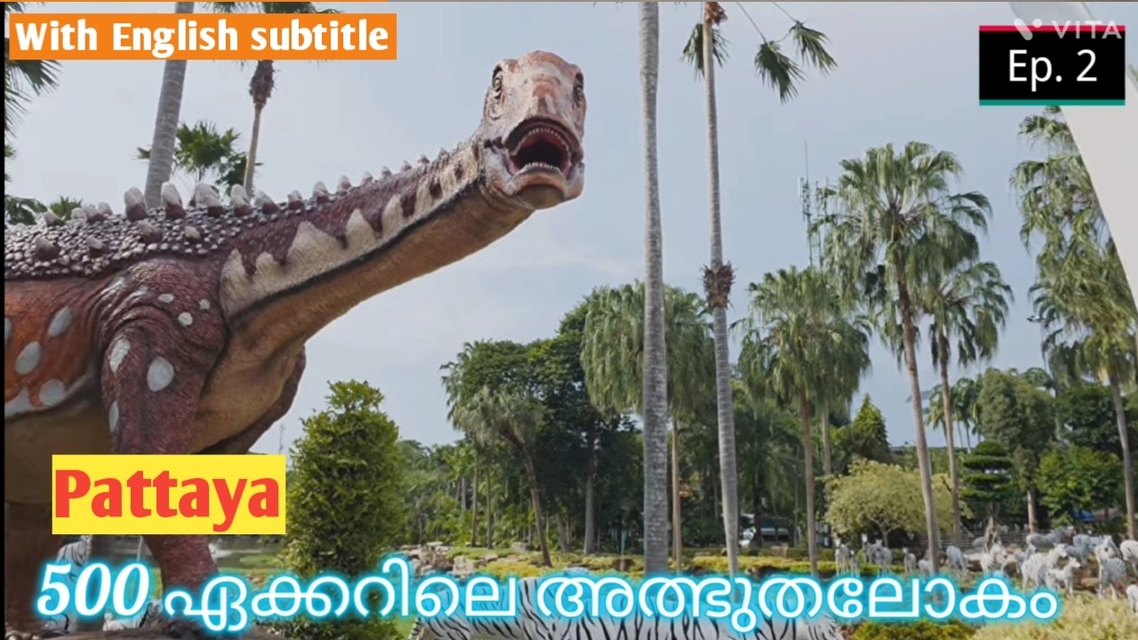 പൂക്കളും സംസ്കാരവും | Nature Meets Culture | Nong Nooch Garden #travel #thailand ⁨@travelvibes25⁩