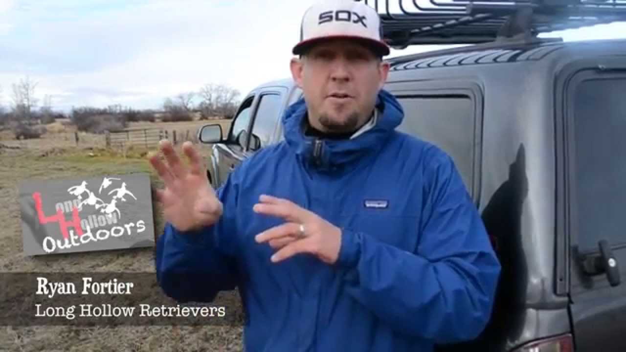 Volume 1 Pointing Dog Training by Long Hollow Outdoors