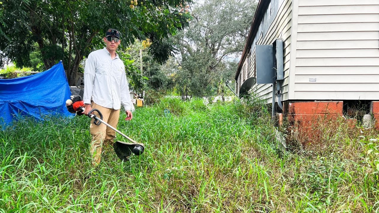 Overgrown LAWN had SNAKES and RODENTS - So we MOWED it for FREE.
