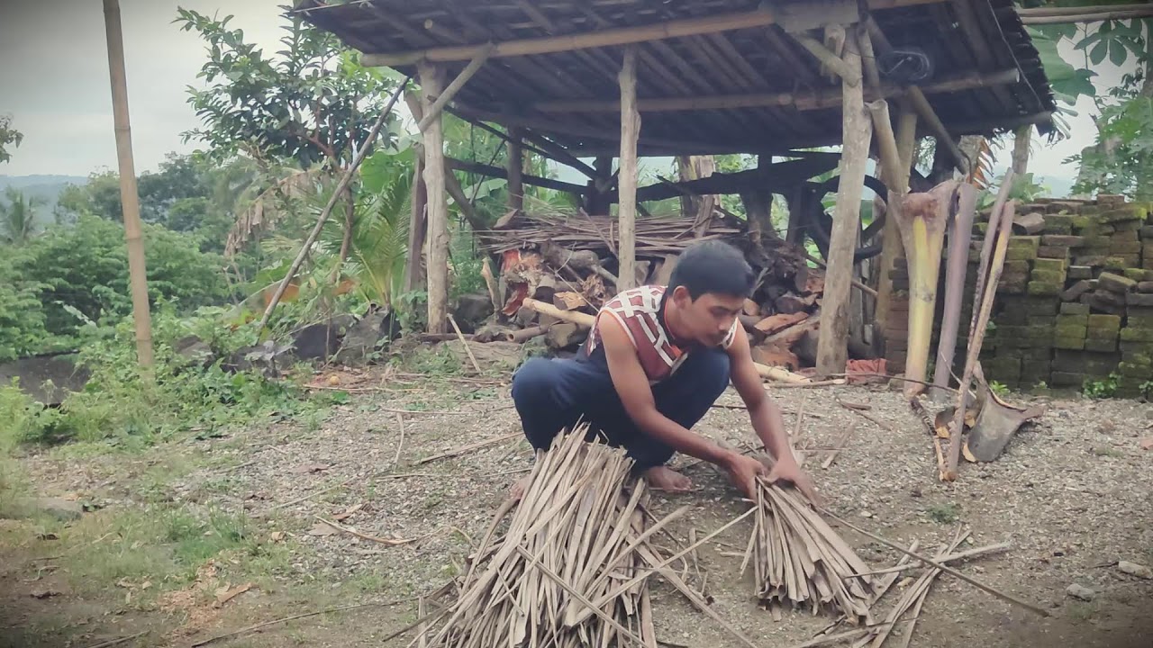 Sustainable Fuel: Managing Coconut Foliage for Cooking Stock _FarmersLife _Shorts