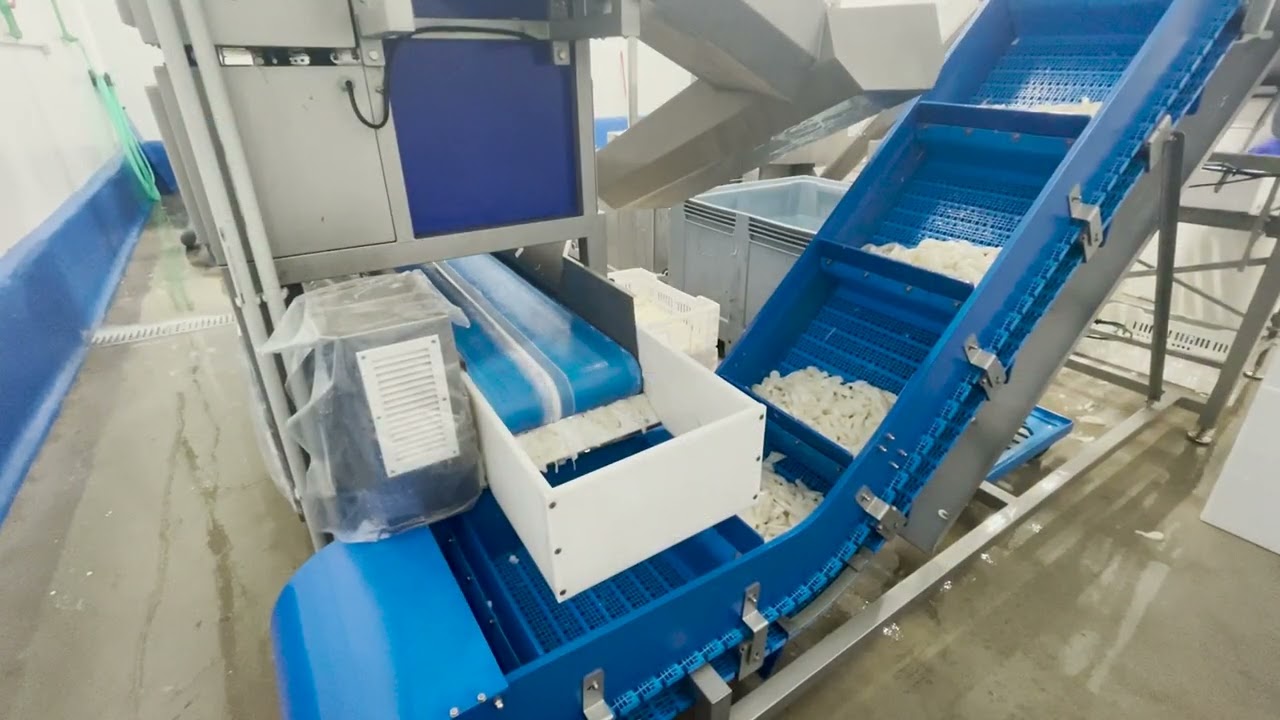 Sistema de multipesado de lotes / Batch multiweighing system / Système de lots à pesées multiples