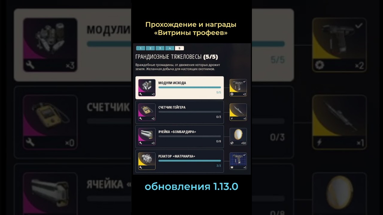 ВИТРИНА ТРОФЕЕВ 