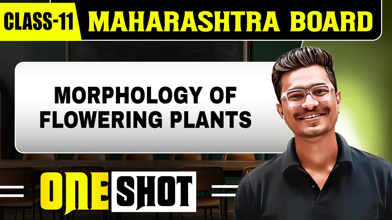 MORPHOLOGY OF FLOWERING PLANTS IN 1 SHOT | Class11th | Botany | Maharashtra Board