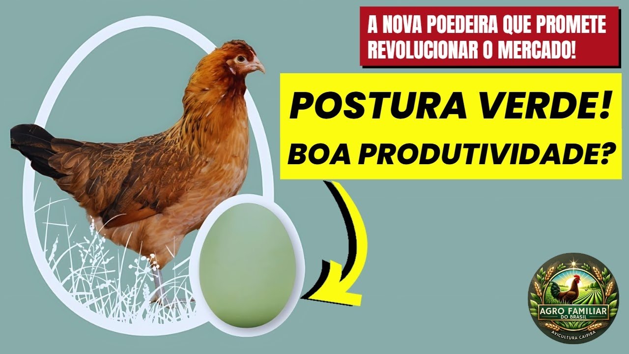 Tudo sobre a Postura Verde: Guia da Nova Linhagem de Ovos Verdes!
