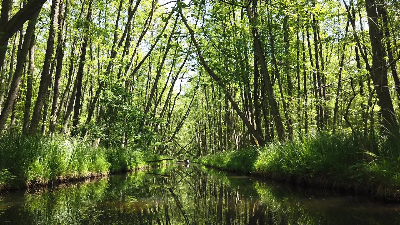Schwaanhavel; Kajaktour von Wesenberg nach Wustrow