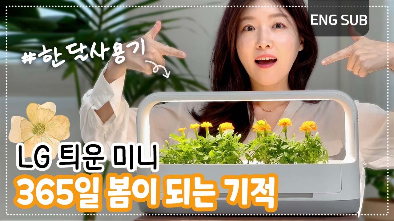 누구나 쉽게 키울 수 있다?! LG 틔운 미니 한 달 사용기 솔직리뷰