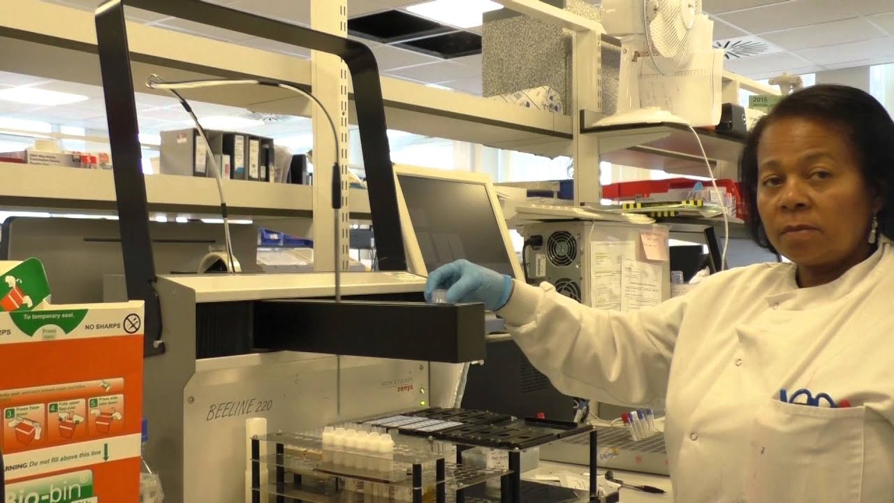 Testing anti-nuclear antibodies (ANA) – Francisca Hodge and Hazel Hinds