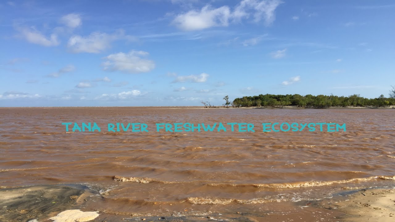 Tana River Freshwater Ecosystem Documentary || National Museums of Kenya ||Nairobi National Museum