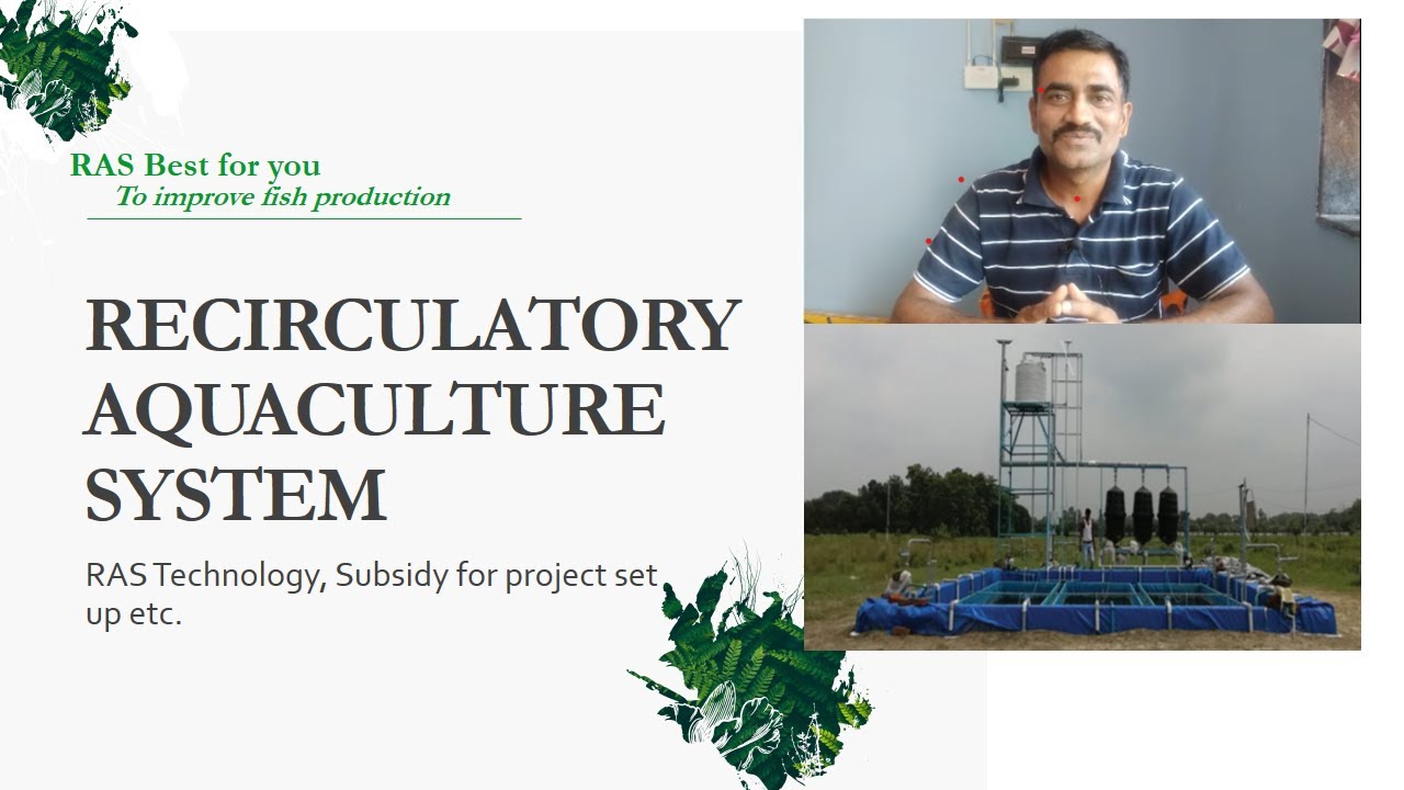 RAS-RECIRCULATORY AQUACULTURE SYSTEM Best for you to improve Fish production  |How to avail SUBSIDY