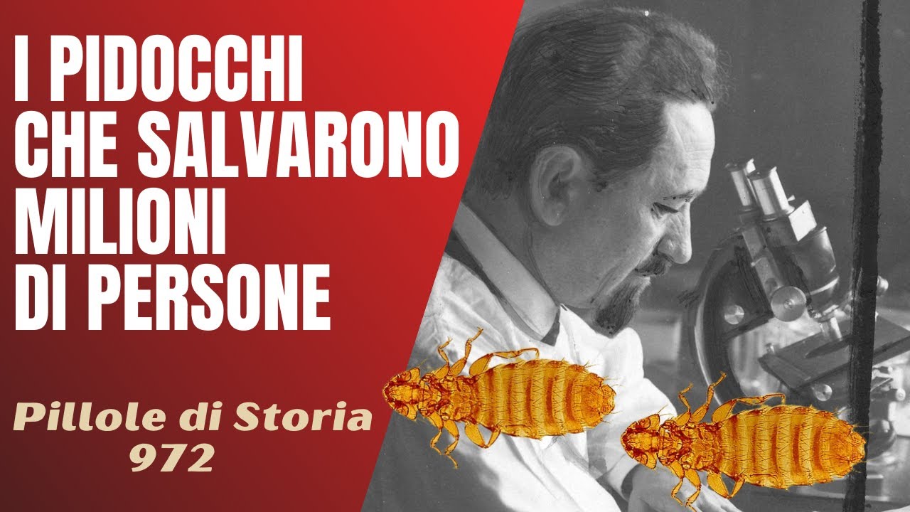 972- I pidocchi che permisero di salvare milioni di persone ( e chi li nutrì ) [Pillole di Storia]