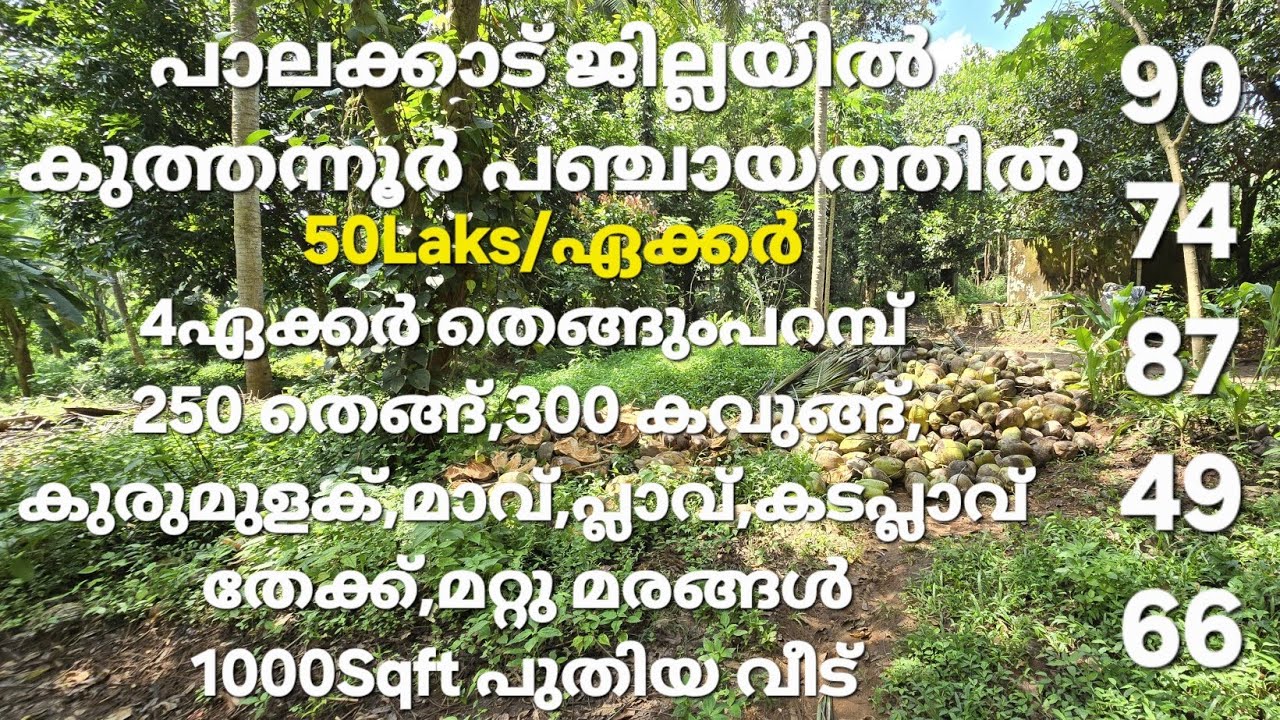 പാലക്കാട് കുത്തന്നൂർ പഞ്ചായത്തിൽ 4ഏക്കർ തെങ്ങ്,കവുങ്ങ് പറമ്പ് വില്പനക്ക് 