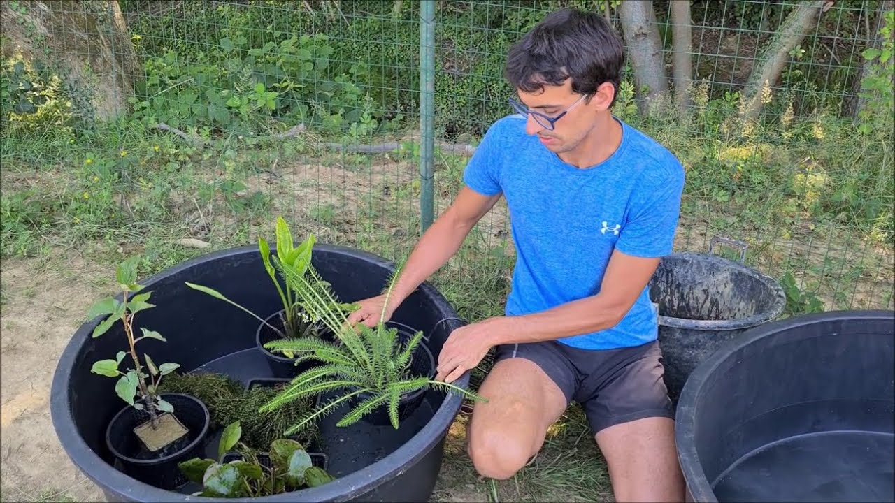 Come fare un Mini Pond (video precedente, ora c’è una nuova versione!)