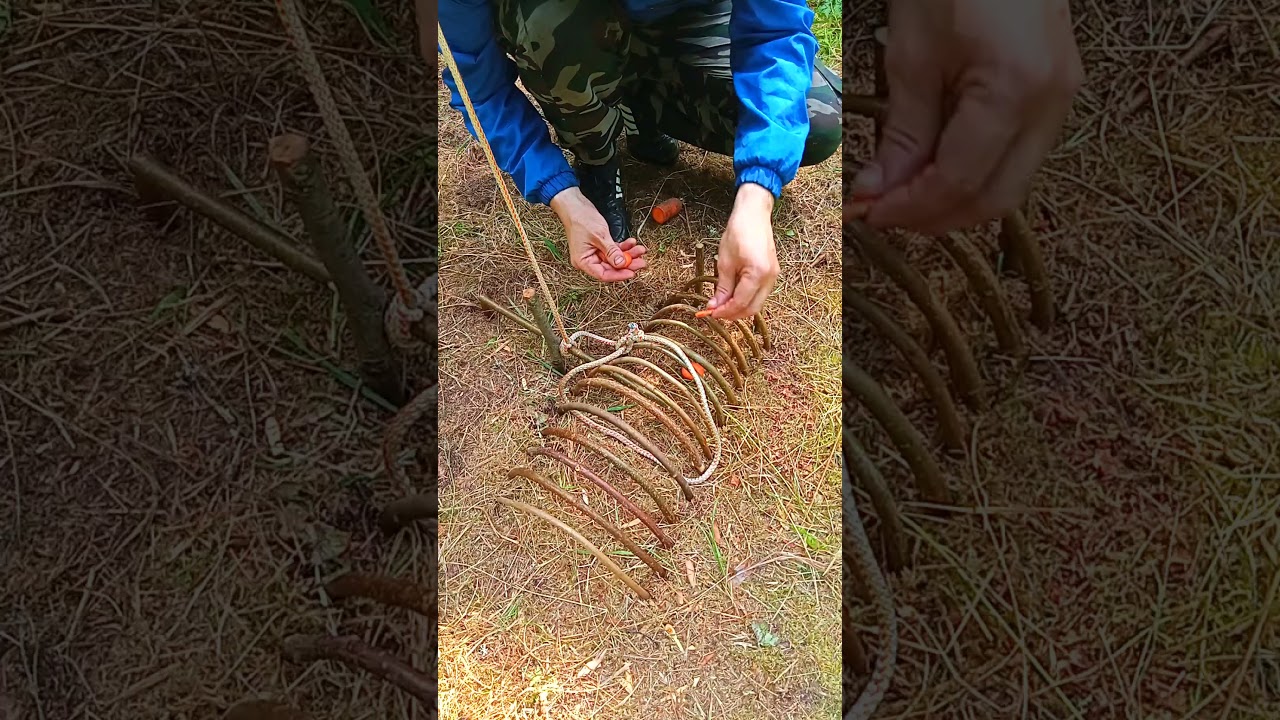 A TRAP IN FIVE MINUTES #survival #bushcraft #trap